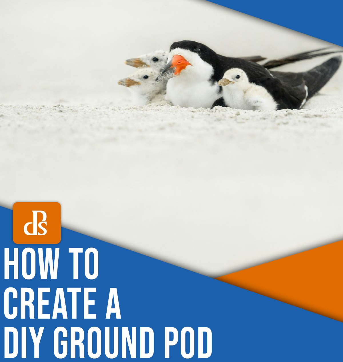 How to Make a DIY Ground Pod (for Low-Angle Wildlife Photos)