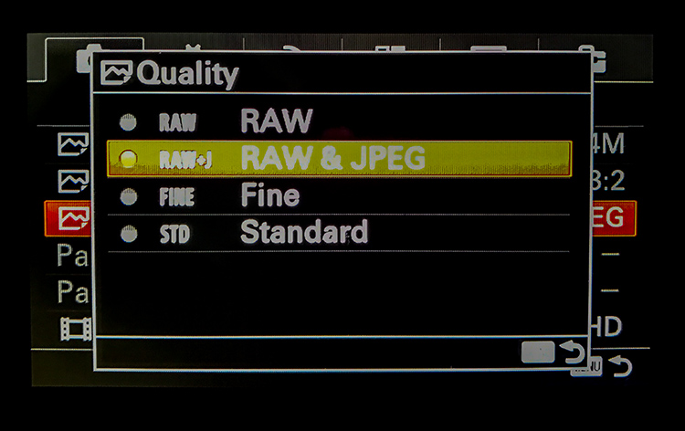 RAW+JPG - The Best of Both Worlds?