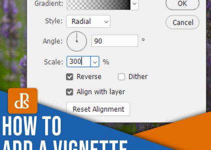 How to Create a Vignette in Photoshop (A Quick Guide)