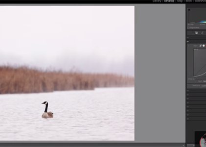 Editing Photos With Curves Made Easy: 5 Basic Tips in 3 Minutes (VIDEO)